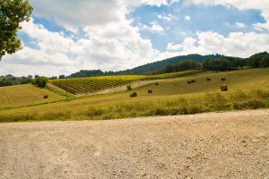 Agriturismo in Val d'Orcia a San Casciano dei Bagni